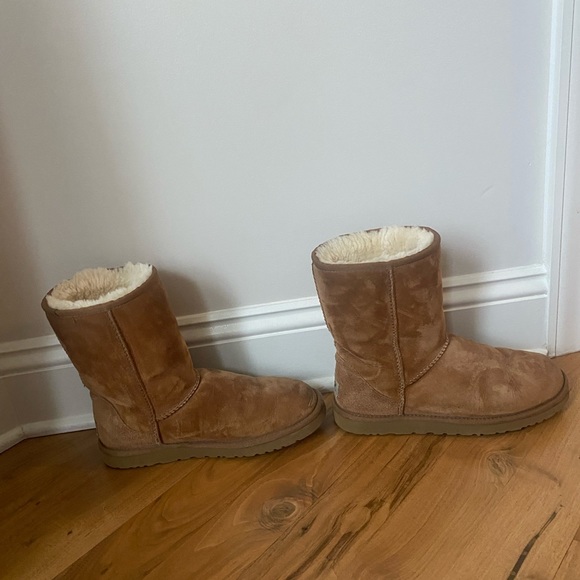 Ugg chestnut short II - Picture 11 of 13